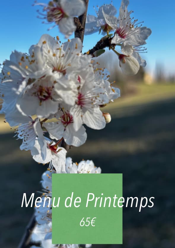 Photo du menu Menu printemps
