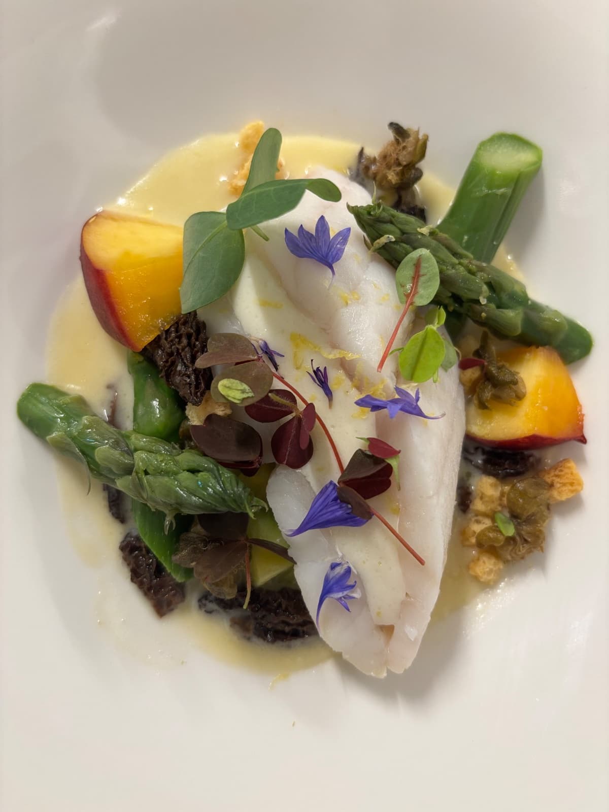Photo de couverture de Chef Cédric Massat