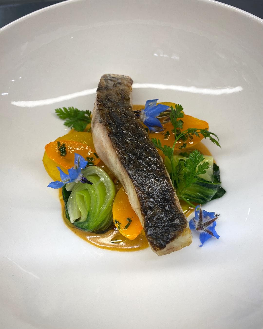 Photo du menu Balade en Provence hiver
