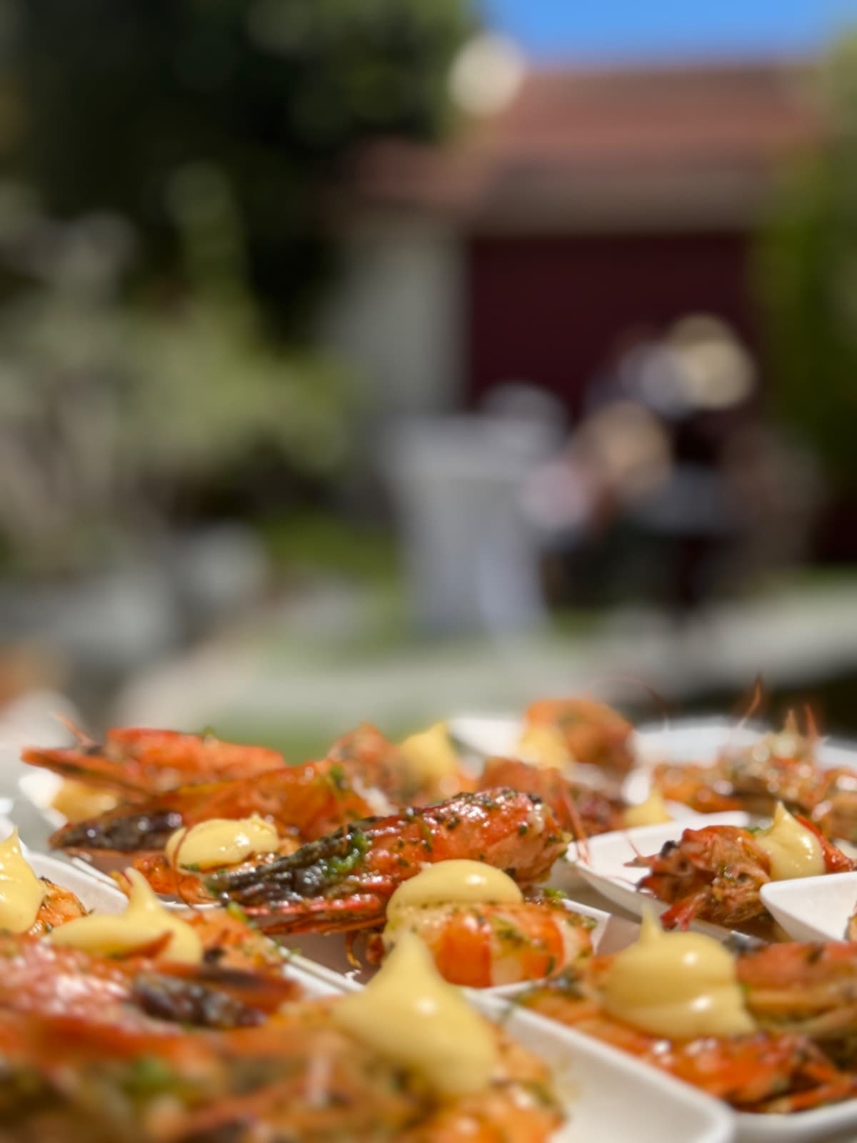 Photo de couverture de Chef Jenna Romey