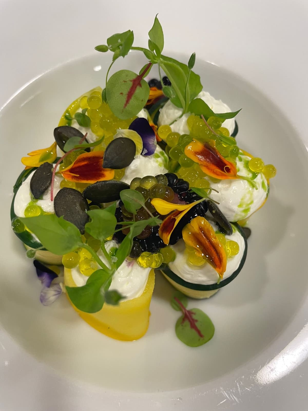 Photo de couverture de Chef Frédéric