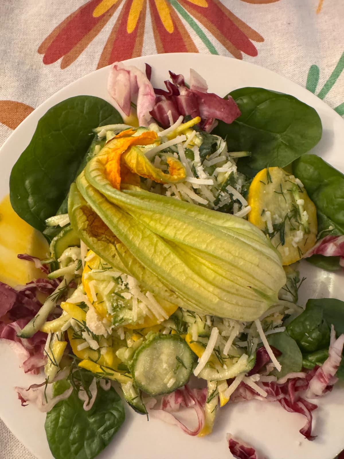 Photo de couverture de Chef Amanda